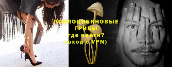 ГАЛЛЮЦИНОГЕННЫЕ ГРИБЫ Балабаново