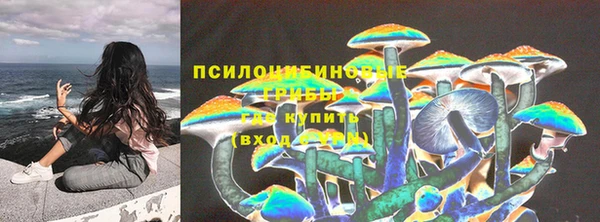 Альфа ПВП Баксан
