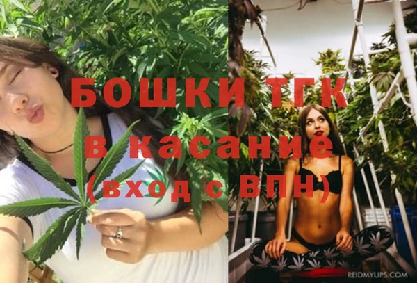 ГАЛЛЮЦИНОГЕННЫЕ ГРИБЫ Балабаново
