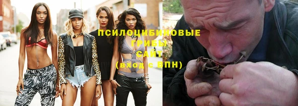 ГАЛЛЮЦИНОГЕННЫЕ ГРИБЫ Балабаново