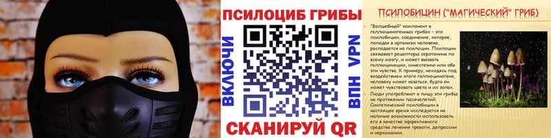Галлюциногенные грибы мицелий  Купить  Сасово 