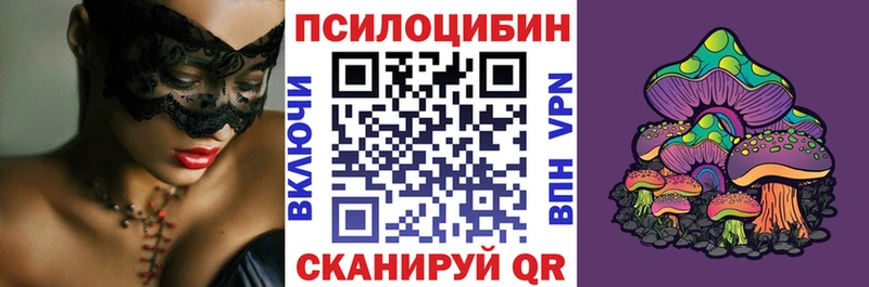 Галлюциногенные грибы Psilocybe Сасово